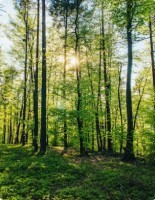 Faible impact environnemental